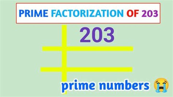 203 Prime