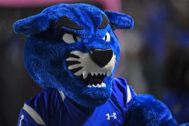 History of the Georgia State Panthers Mascot